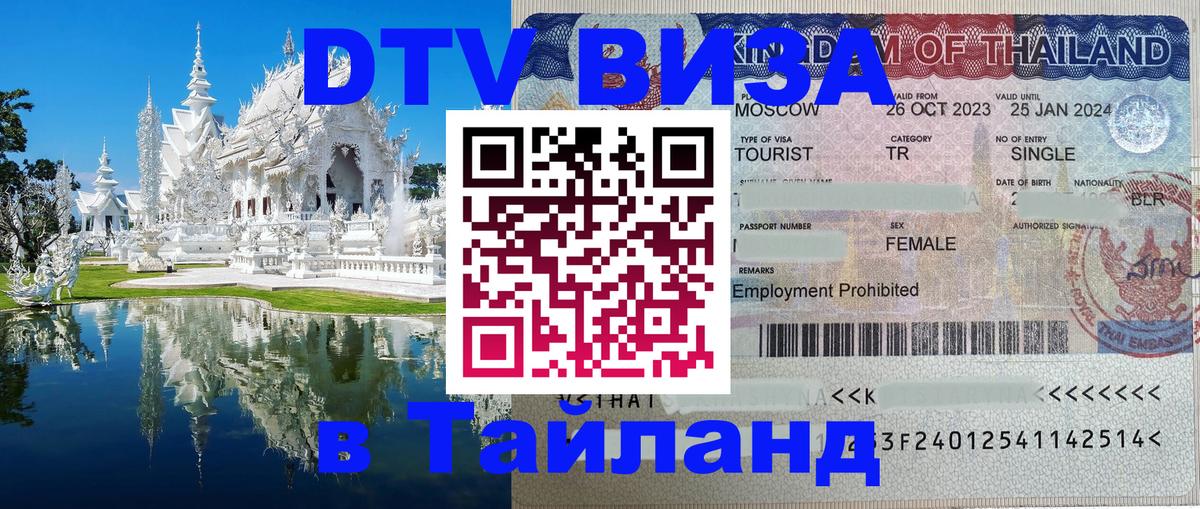 Оформление DTV визы под ключ: стоимость и тарифы, только загранпаспорт - 07.01.2026 